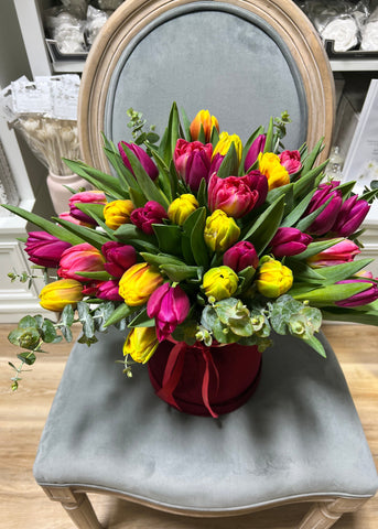 Tulips In Velvet Box