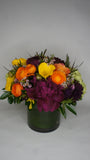 Vibrant Arrangement