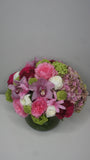 Rose Romance